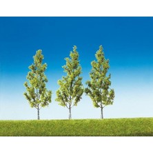 Faller 181372 Beyaz Kavak Ağacı, 3 Adet