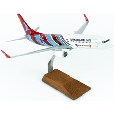 THY003 1/100 Ölçek, Thy Trabzon Spor Logolu B737-800 Yolcu Uçağı, Sergilemeye Hazır Ahşap Standlı Model