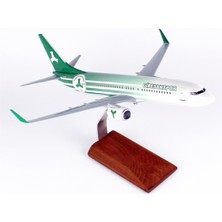 THY002 1/100 Ölçek, Thy Giresun Spor Logolu B737-800 Yolcu Uçağı, Sergilemeye Hazır Ahşap Standlı Model