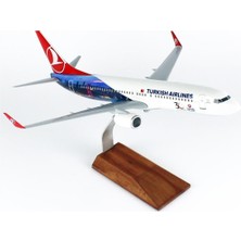 THY008 1/100 Ölçek, Thy Cezayir Logolu B737-800 Yolcu Uçağı, Sergilemeye Hazır Ahşap Standlı Model