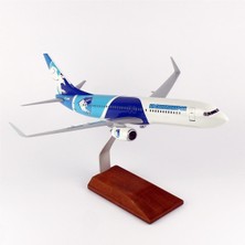 THY050 1/100 Ölçek, Thy Erzurum Spor Logolu B737-800 Yolcu Uçağı, Sergilemeye Hazır Ahşap Standlı Model