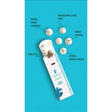 Mastiqe Nane Aromalı Sakız 20G