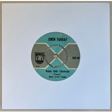 AS Plak Emin Turgay Neden Inkar Ediyorsun - Karar Verdim Içmemeğe 45 Lik Plak (Orijinal Dönem Baskı)