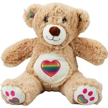 3184 Gökkuşağı Kalpli Peluş Ayı 30 cm -Nessiworld