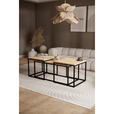 Solto Home SC9-14 Metal Dikdörtgen Orta Sehpa ve Zigon Sehpa Seti