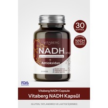 Vitaberg Nadh Antioksidan+ | Pqq, Koenzim Q10, Resveratrol, Kolajen Tip Iı