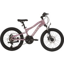 Feyza Design Kdx 2500-D Kız Çocuk Bisikleti, 20 Jant, 21 Vites, Metalik Pembe-Beyaz