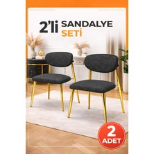 Avenza Living Polo 2’li Metal Ayaklı Modern Mutfak Sandalye