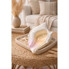 El Yapımı Deniz Kabuğu Mum – Özel Tasarım Dekoratif Seramik Mum