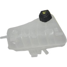 Mais Genlesme Deposu Kangoo Iı Maıs 217101312R