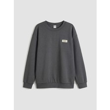 LC Waikiki Lcw Kids Antrasit Bisiklet Yaka Erkek Çocuk Sweatshirt