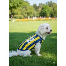 Feyza Design Kedi ve Köpek Taraftar Forması, Isim ve Numara Yazılabilir, Şık ve Rahat