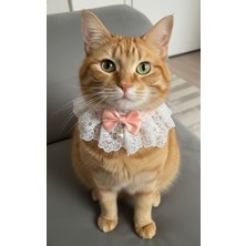 Feyza Design Şık Incili Papyonlu Somon Rengi Kedi Aksesuarı