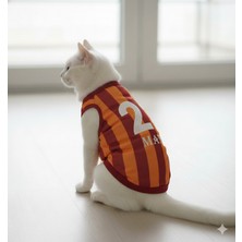 Feyza Design Kedi ve Köpek Temalı Yazılabilir Taraftar Forması, Renkli ve Eğlenceli Tasarım