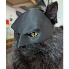 Feyza Design Sevimli Kediler Için Eğlenceli Batman Maske Seti