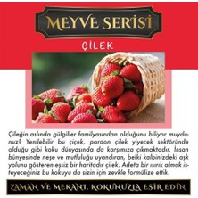 Koku Hanem Toptan Meczub Meyve Serisi Çilek 10 Adet 10 ml Üçgen Şişe Oto Kokusu Araç Araba Parfümü