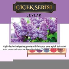 Koku Hanem Toptan Aşk-I Sermest Beyaz Ahşap Standlı 30 Adet 8 ml Magnolia Araç Parfümü Oto Araba Kokusu