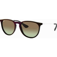 Ray-Ban RB4171 6316E8 54 Unisex Güneş Gözlüğü