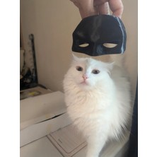 Feyza Design Şaşırtıcı Tasarımlı Kedi Maskesi, Eğlence ve Şıklık Bir Arada