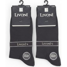 Livoni 2 Çift Erkek Açık Lacivert Pamuklu Dikişsiz Çorap