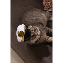 Feyza Design Eğlenceli Cadılar Bayramı Evcil Hayvan Denizci Şapkası