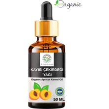 Anadolunun Özü Organik Kayısı Çekirdeği Yağı 50 ml | Soğuk Pres • Konsantre • Saf İçerik