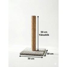 Feyza Design 50 cm Kedi Tırmalama Tahtası, Sisal Halat ve Kaymaz Taban ile Keyifli Kullanım