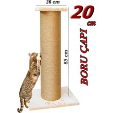 Feyza Design Turkuaz Renkli Pet Dev Tırmalama Taşı - Doğal ve Dayanıklı Ikili Set