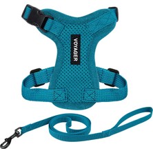 Braventa Collection Voyager Step-In Lock Ayarlanabilir Kedi Tasması Seti, Neopren Saplı Kombi Set, 1,5 M – Küçük, Orta V