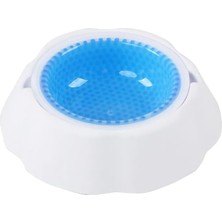 Braventa Collection Ice Bowl Soğuk Su Tutan Mama Kabı