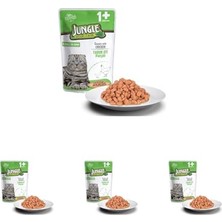 Braventa Collection Pouch Tavuklu Jelli Kedi Yaş Maması 100 G (4 Paketi)
