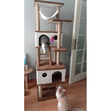 Feyza Design Renkli ve Şık Kedi Tırmalama Evi ile Oyun ve Dinlenme Keyfi