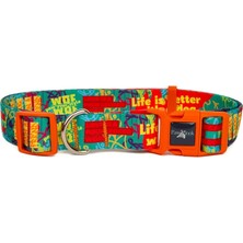 Braventa Collection Pawlook Köpek Boyun Tasması – Geri Dönüştürülmüş, Ayarlanabilir, Emniyet Tokalı – Küçük ve Büyük Irk