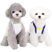 Braventa Collection Glipet Bruch Desenli Köpek Kıyafeti Mavi S