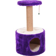 Braventa Collection Kedi Tırmalama, Roll, Mor