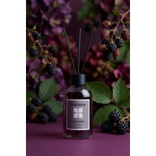 Viaderma Böğürtlen Aromalı Bambu Çubuklu Oda Kokusu 100 ml Şişe