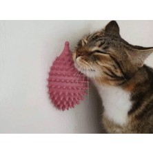 Feyza Design Sevimli Kirpi Kedi Tırmalama ve Bakım Aleti, Eğlenceli ve Güvenli Kullanım