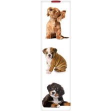 Braventa Collection Dogs