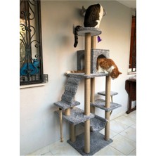 Feyza Design Yüksek Konforlu Kedi Tırmalama Evi ve Oyun Platformu