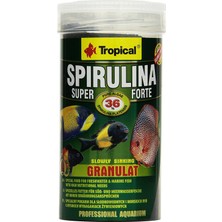 Braventa Collection Tropical Super Spirulina Forte Granül Yem,%36 Spirulina (Platensis) Oranlı, Tekli Paket (1 x 250 Ml)