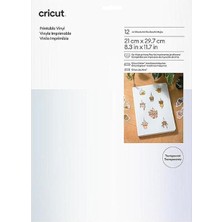 Braventa Collection Crıcut 2010363 Yazdırılabilir (Prıntable) Vinil 21.5X28CM 12Lİ Paket Transparan