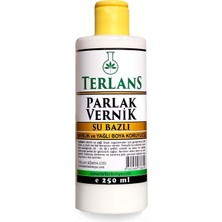 Braventa Collection Su Bazlı Parlak Vernik 250 ml ve Yağlı Boya Koruyucu