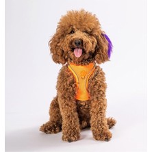 Braventa Collection Pawstar Neon Turuncu Air-Mesh Göğüs Tasması Kedi Köpek Göğüs Tasması Neon Turuncu Xl