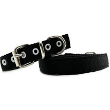 Braventa Collection Siyah Yumuşak Dokulu Küçük Irk Yavru Köpek Tasması Siyah Tek Ebat