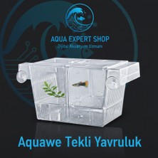 Aquawe Akvaryum Tekli Yavruluk - Kolay Kurulum - Şeffaf Yapı - Güvenli Alan