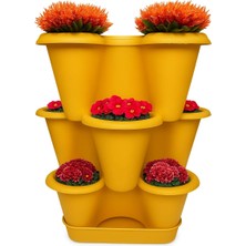 Braventa Collection 3 Katlı Şanslı Yonca Tasarımlı Dekoratif Saksı Seti, 26.5 x 26.5 Cm, Çiçek ve Bitki Sebze Yetiştirme