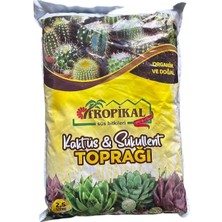 Braventa Collection Kaktüs ve Sukulent Toprağı 2,5 Lt