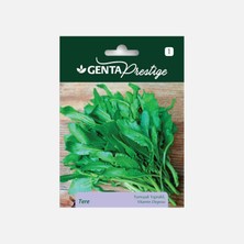 Braventa Collection Tere Tohumu Sebze Tohumu