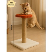 Feyza Design Rahat ve Eğlenceli 44 cm Kedi Tırmalama Tahtası, Renkli Tasarım