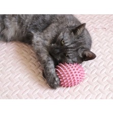 Feyza Design Kedi Tırmalama ve Sürtünme Aleti, Keyifli Oyun ve Egzersiz Için